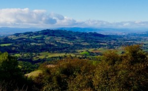 Sonoma Mountain, State Parks image