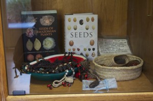 Seed books_BDL display