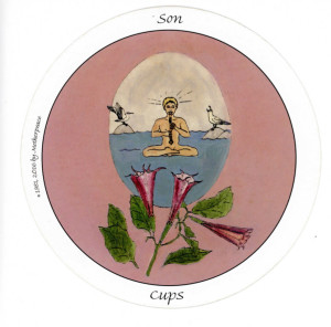 Son of Cups