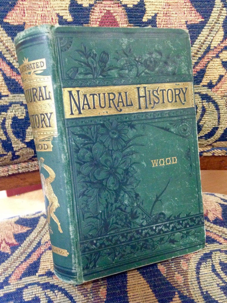 One of the beautifully illustrated antique books in our Ethnobotany Library